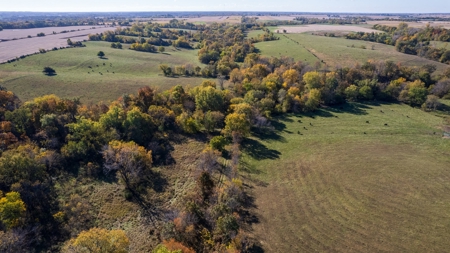 Marion County Farm with Remodeled Home - image 5