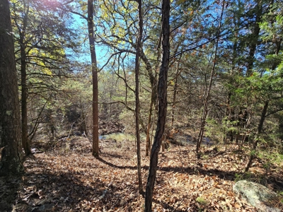 Poteau Mountain Recreational Property - Near National Forest - image 8