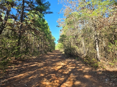 Poteau Mountain Recreational Property - Near National Forest - image 3