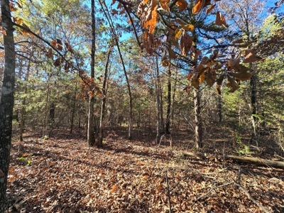 Poteau Mountain Recreational Property - Near National Forest - image 22
