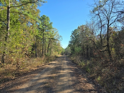 Poteau Mountain Recreational Property - Near National Forest - image 21