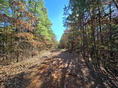 Poteau Mountain Recreational Property - Near National Forest - image 4