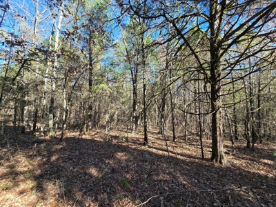 Poteau Mountain Recreational Property - Near National Forest - image 9