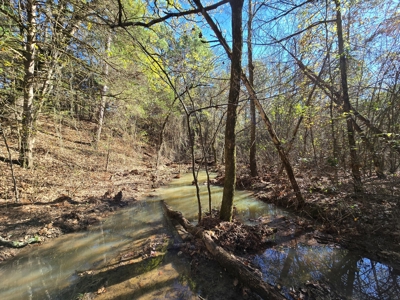 Poteau Mountain Recreational Property - Near National Forest - image 1
