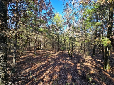 Poteau Mountain Recreational Property - Near National Forest - image 19