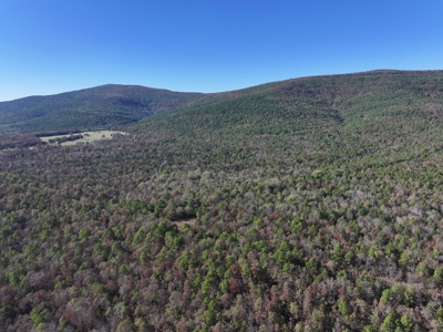 Poteau Mountain Recreational Property - Near National Forest - image 2