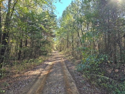 Poteau Mountain Recreational Property - Near National Forest - image 12
