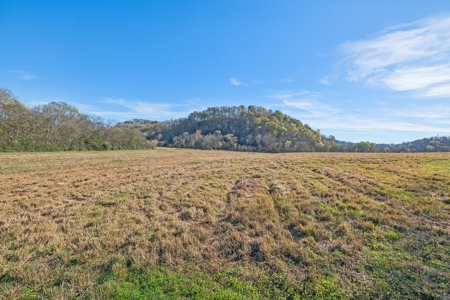 Country Home on 338 Acres for Sale - image 40