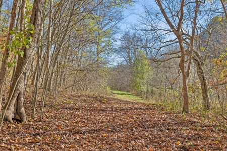 Country Home on 338 Acres for Sale - image 41