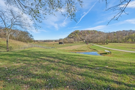 Country Home on 338 Acres for Sale - image 31