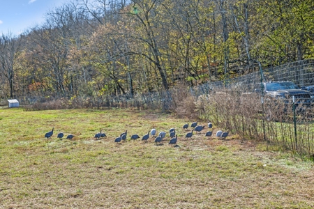 Country Home on 338 Acres for Sale - image 32