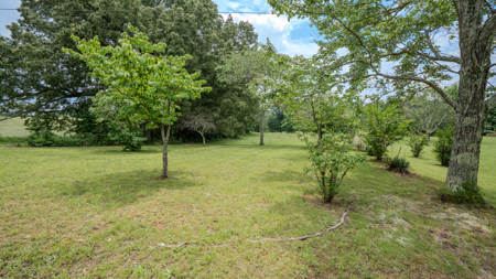 For Sale: Tennessee Country Home on 7.5 acre Mini-Farm! - image 32