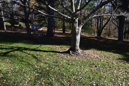 Country Home for Sale Near Town of Floyd VA - image 5