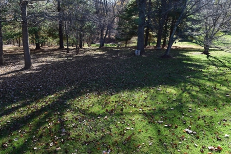 Country Home for Sale Near Town of Floyd VA - image 11