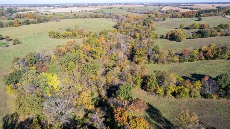 Marion County Combination Farm with Recreational and Hunting - image 10