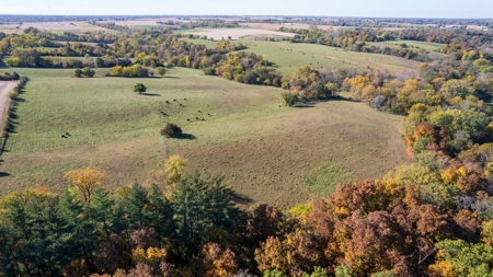 Marion County Combination Farm with Recreational and Hunting - image 2