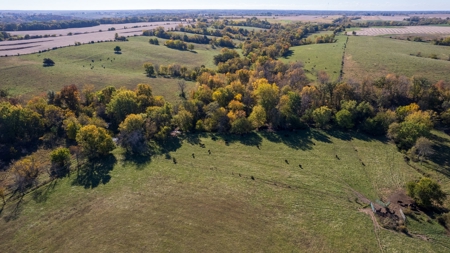 Marion County Combination Farm with Recreational and Hunting - image 18
