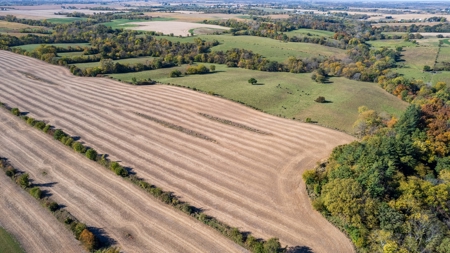 Marion County Combination Farm with Recreational and Hunting - image 25