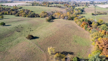 Marion County Combination Farm with Recreational and Hunting - image 3