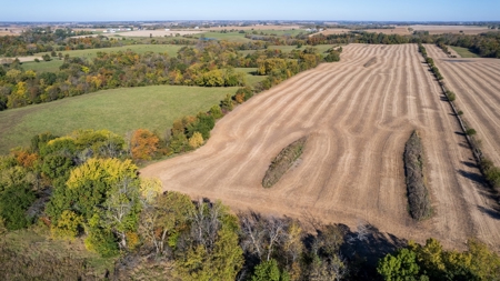Marion County Combination Farm with Recreational and Hunting - image 7
