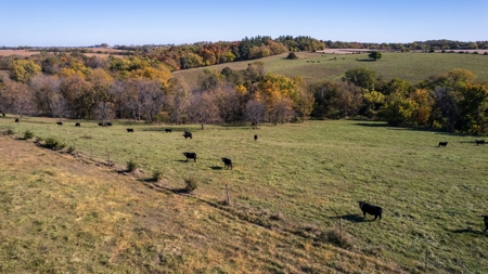 Marion County Combination Farm with Recreational and Hunting - image 21