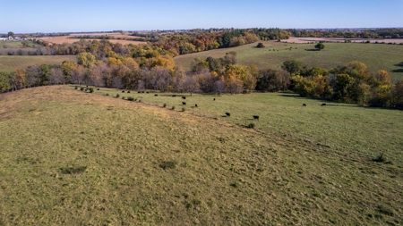 Marion County Combination Farm with Recreational and Hunting - image 20