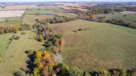 Marion County Combination Farm with Recreational and Hunting - image 16