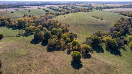 Marion County Combination Farm with Recreational and Hunting - image 23