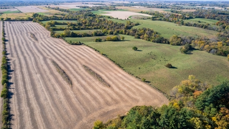 Marion County Combination Farm with Recreational and Hunting - image 4