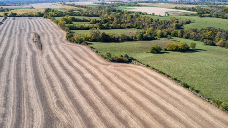 Marion County Combination Farm with Recreational and Hunting - image 5