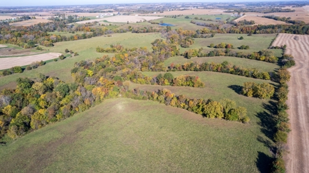 Marion County Combination Farm with Recreational and Hunting - image 9