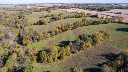Marion County Combination Farm with Recreational and Hunting - image 11