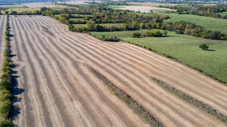 Marion County Combination Farm with Recreational and Hunting - image 27