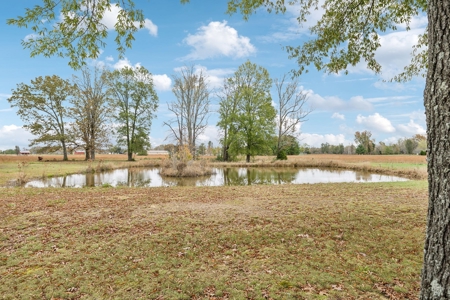 Country Home for Sale in Lewis County, Tennessee - image 44