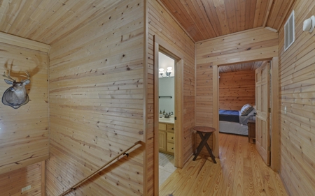 Log Cabin near Helen and Lake Burton in Blue Ridge Foothills - image 18