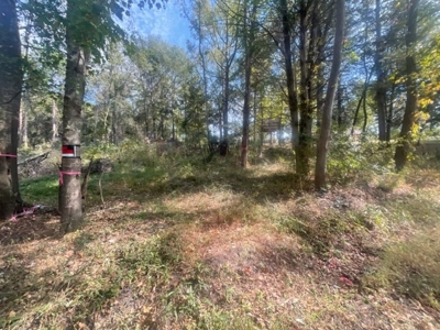 Country Acreage For Sale - image 1