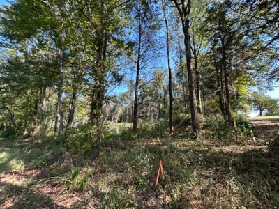 Country Acreage For Sale - image 3