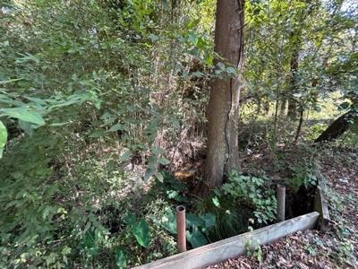 Country Acreage For Sale - image 4