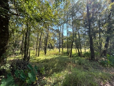 Country Acreage For Sale - image 8