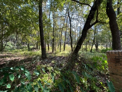 Country Acreage For Sale - image 7