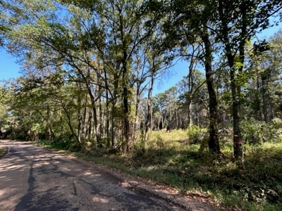 Country Acreage For Sale - image 2
