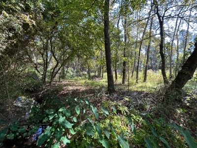 Country Acreage For Sale - image 6