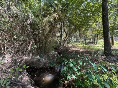 Country Acreage For Sale - image 5