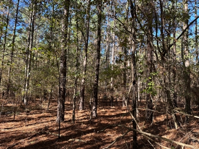 Lake GP 385.66 Acres Located in Ashley County, AR - image 6