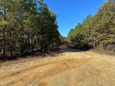 Lake GP 385.66 Acres Located in Ashley County, AR - image 3