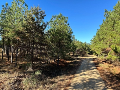 Lake GP 385.66 Acres Located in Ashley County, AR - image 2