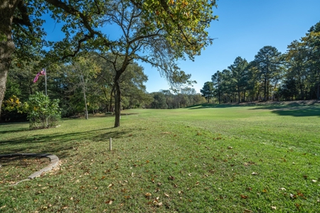 Holly Lake Ranch Golf Course Home East Texas Gated & Secure - image 32