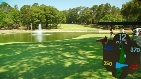 Holly Lake Ranch Golf Course Home East Texas Gated & Secure - image 40