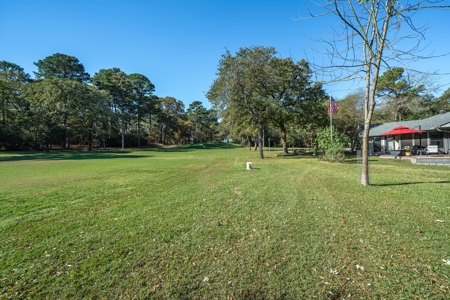 Holly Lake Ranch Golf Course Home East Texas Gated & Secure - image 33