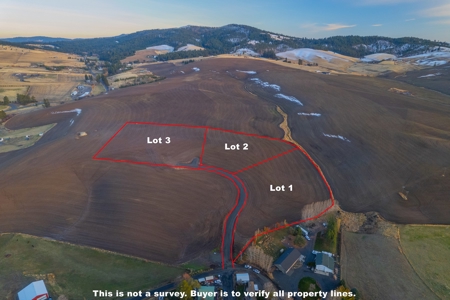 Build it Yourself - Home Site in Viola, ID - image 3